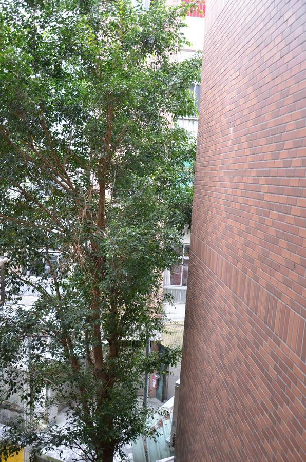 Hostel Of Rising Sun 昇行旅 Vĩnh Hòa Ngoại thất bức ảnh